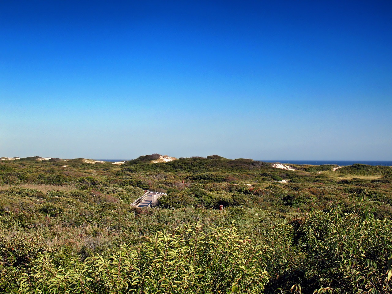 fire island new york sea free photo