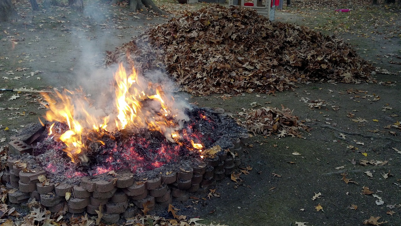 fire pit burning leaves backyard fire pit free photo