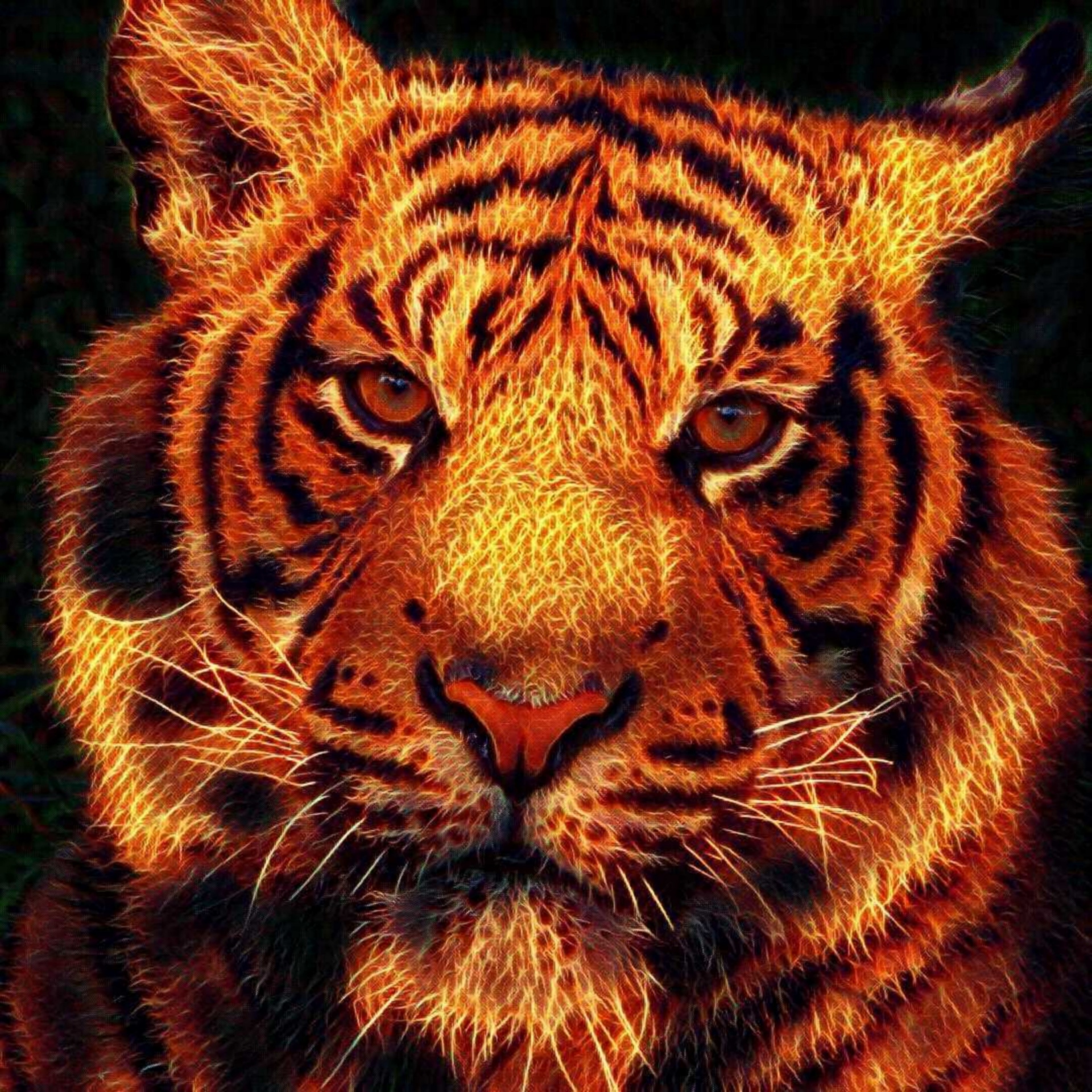fire tiger cub free photo