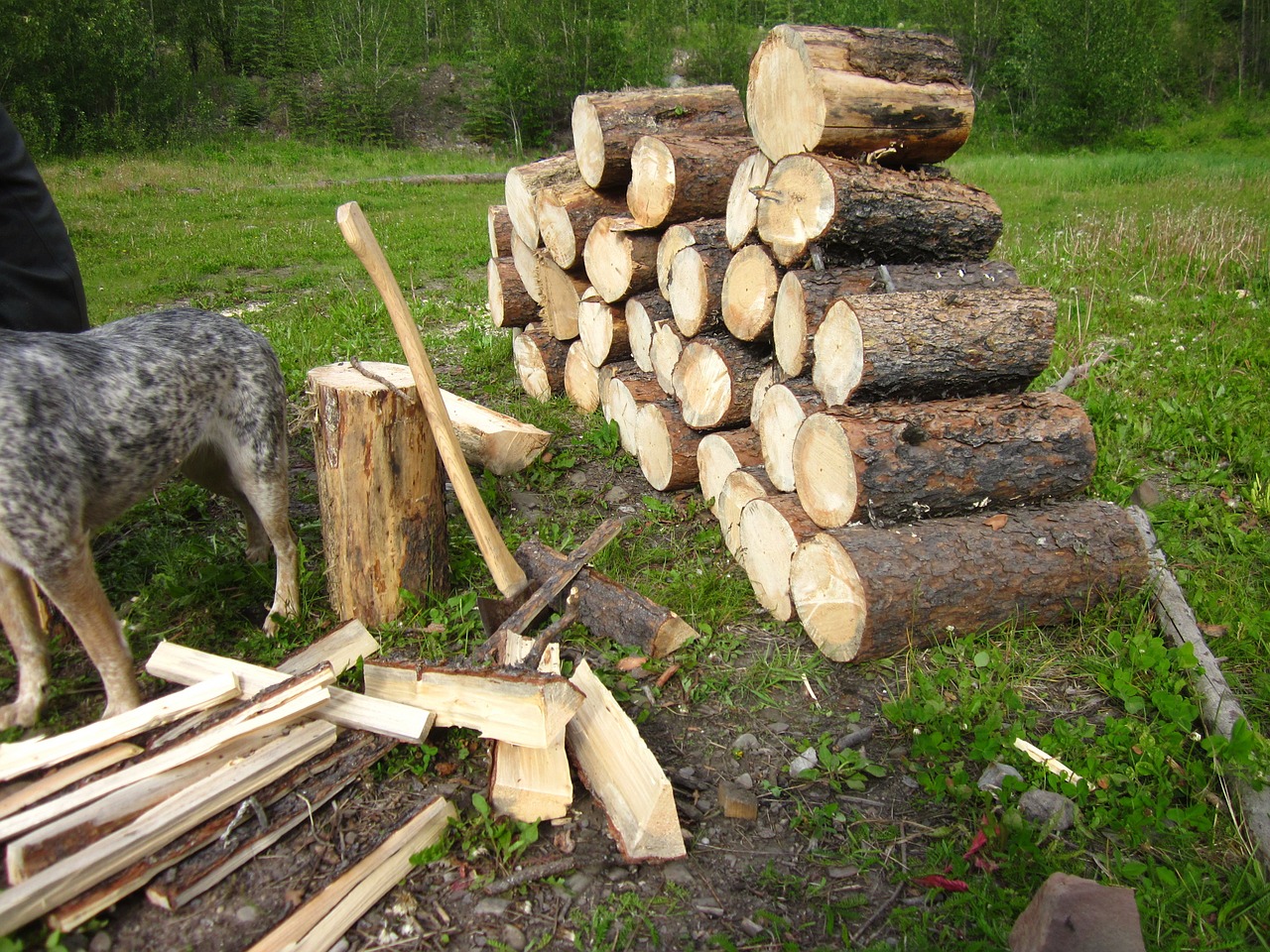 fire wood wood pile free photo