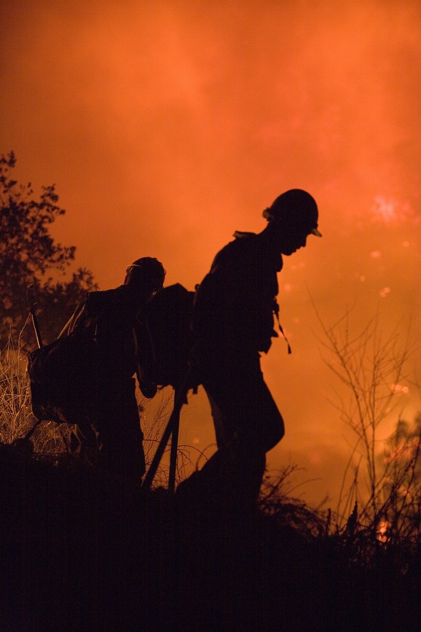 firefighter forest fire silhouette free photo