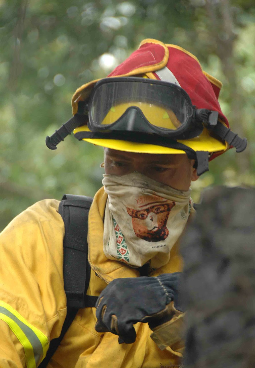 firefighter fireman forest-fire free photo