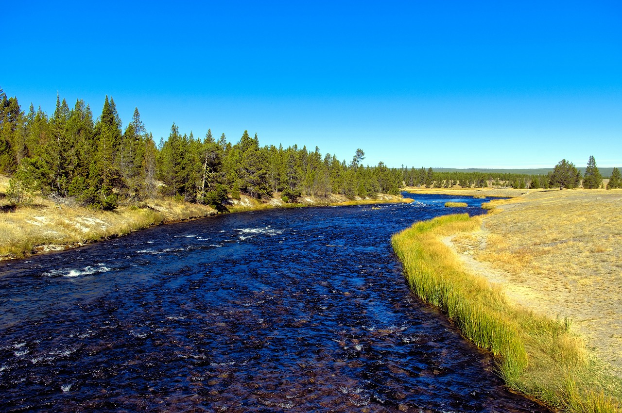 firehole river  firehole  river free photo