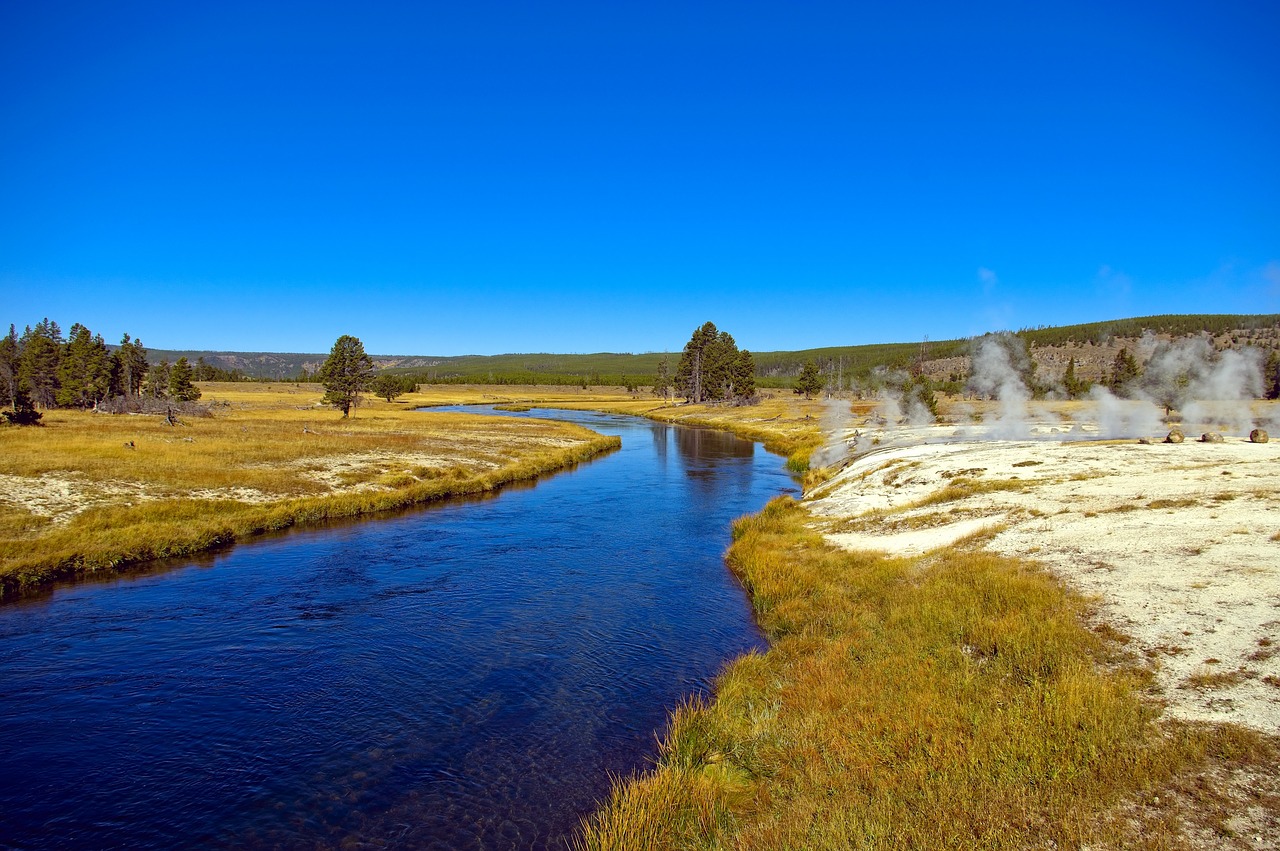 firehole river and hot springs  springs  thermal free photo