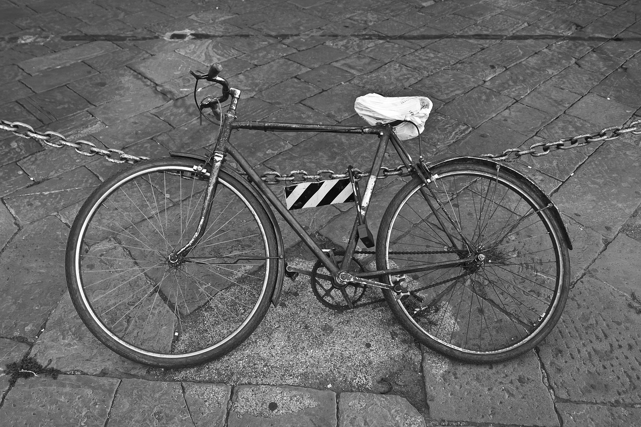 firenze italy black white free photo