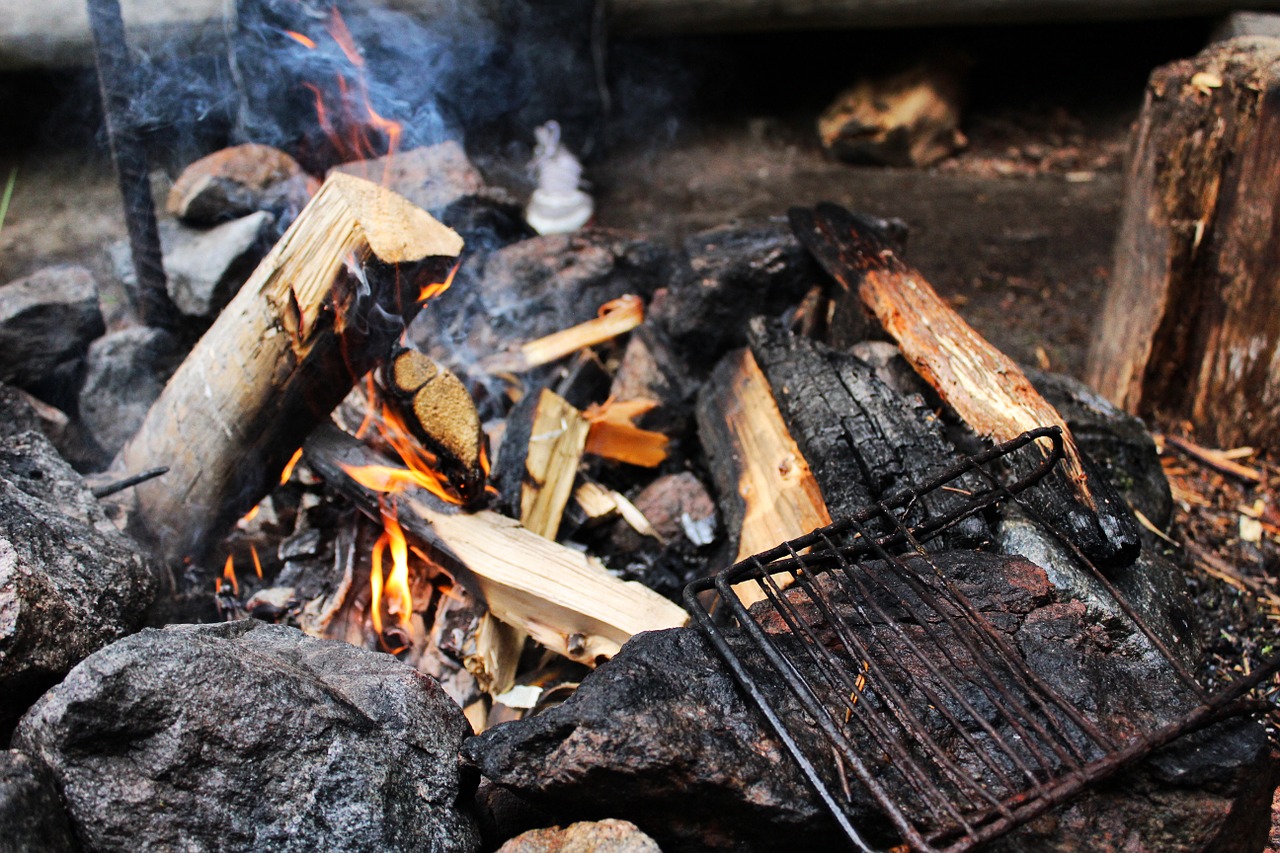 fireplace fire campfire free photo