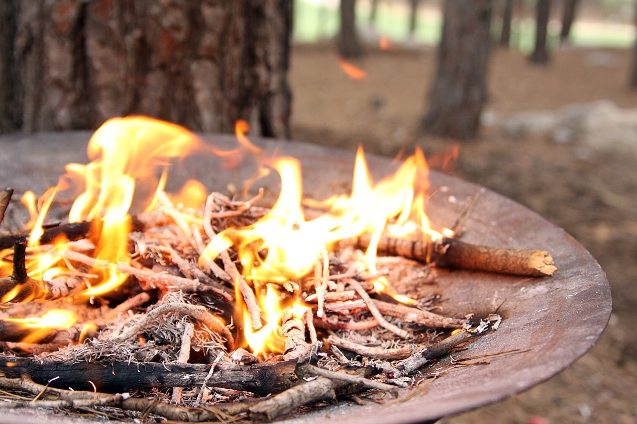 fireplace fire hot free photo