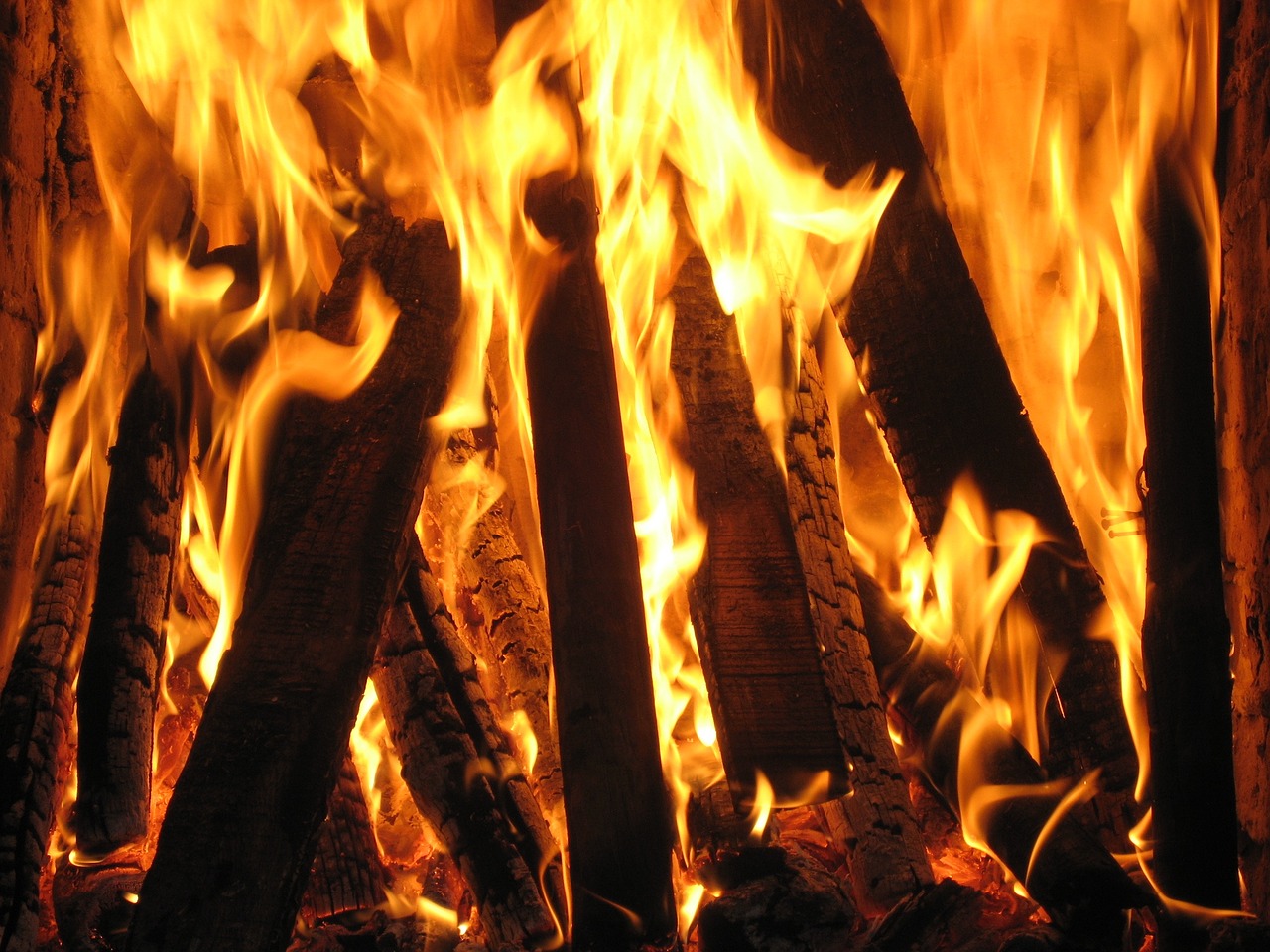 fireplace firefox tree free photo