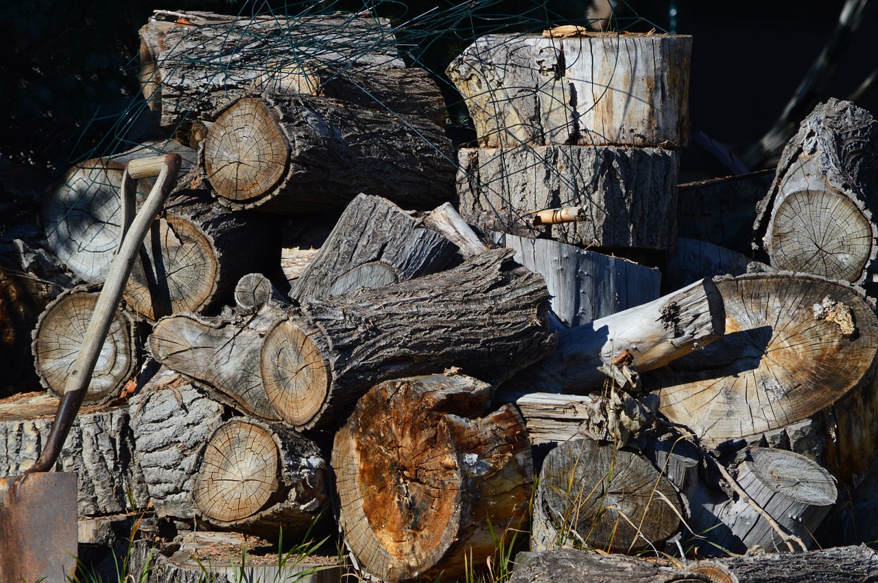 firewood woodpile wood free photo