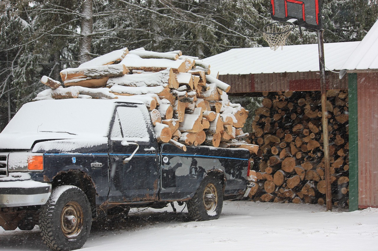 firewood pick-up wood free photo