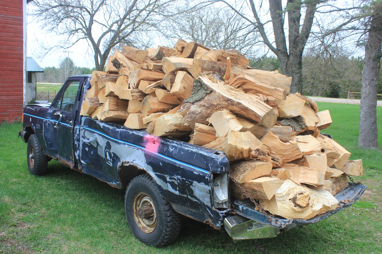 firewood wood overload free photo