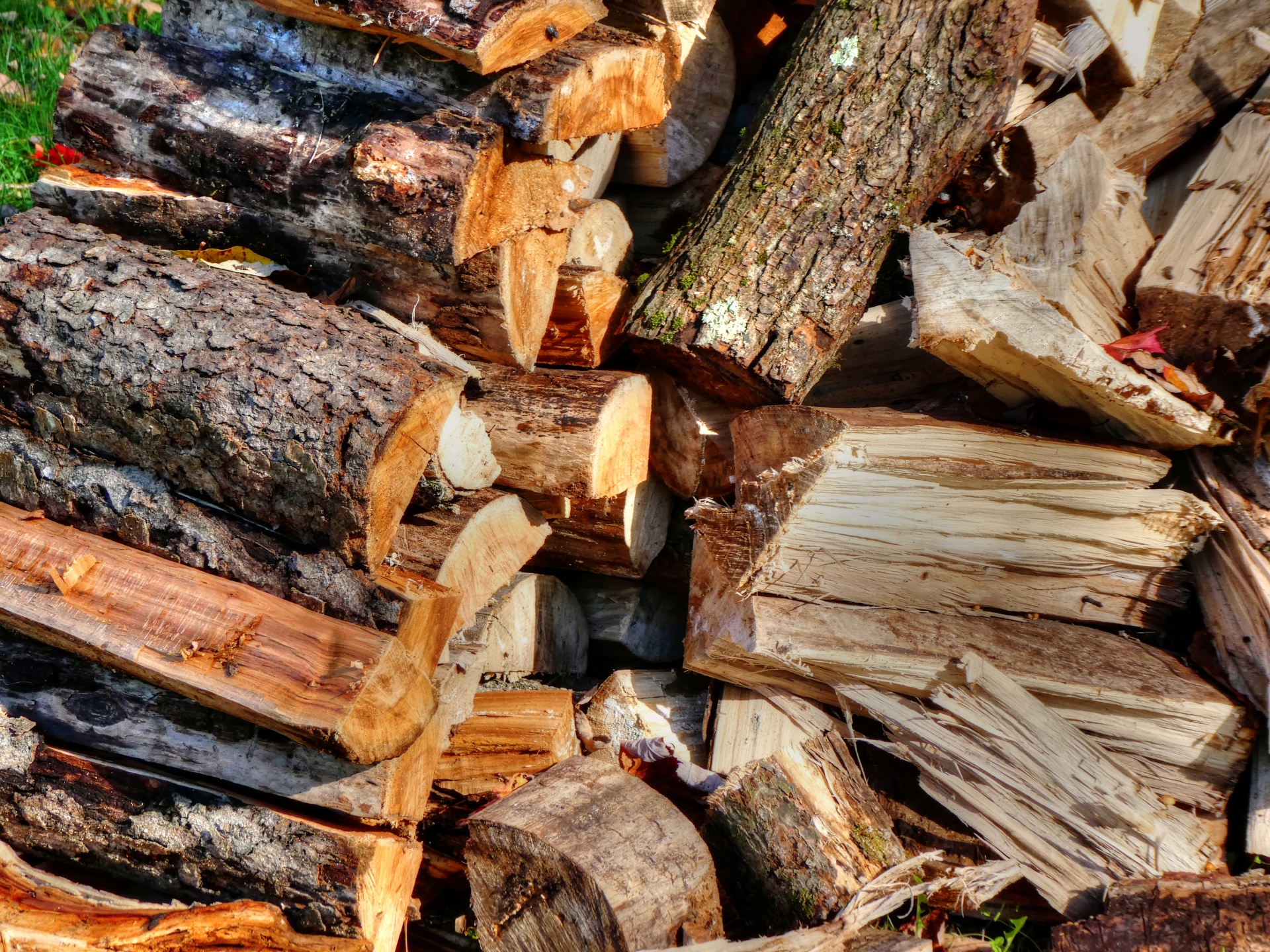 firewood log logs free photo