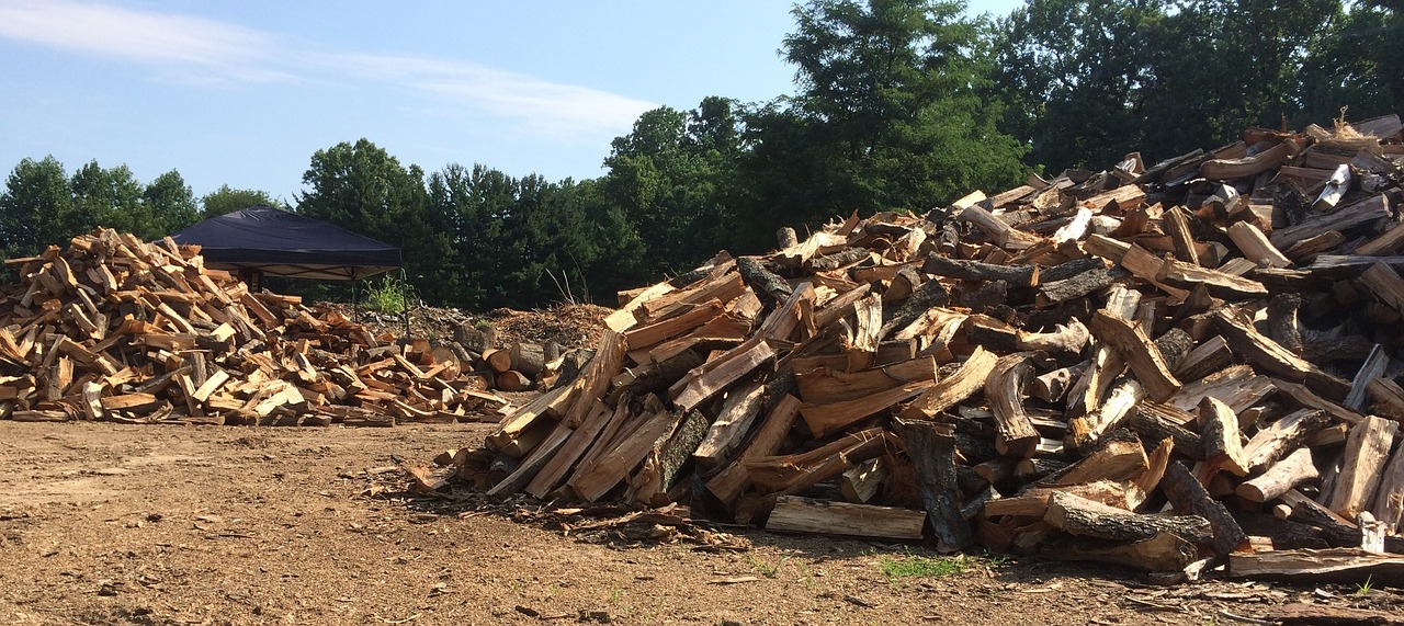 firewood woodpile timber free photo