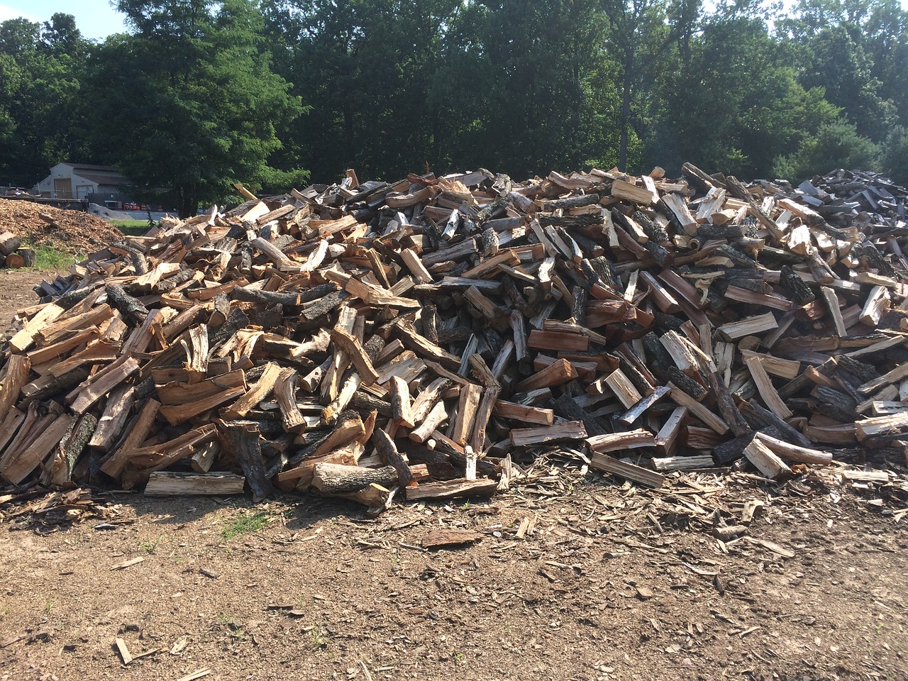 firewood woodpile timber free photo