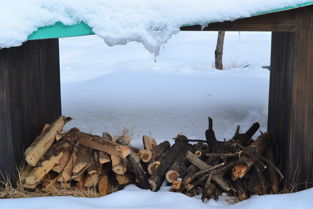 firewood winter wood free photo
