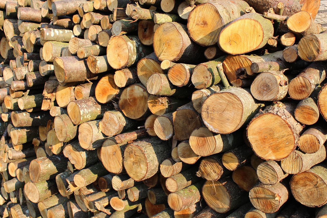 firewood wood timber free photo