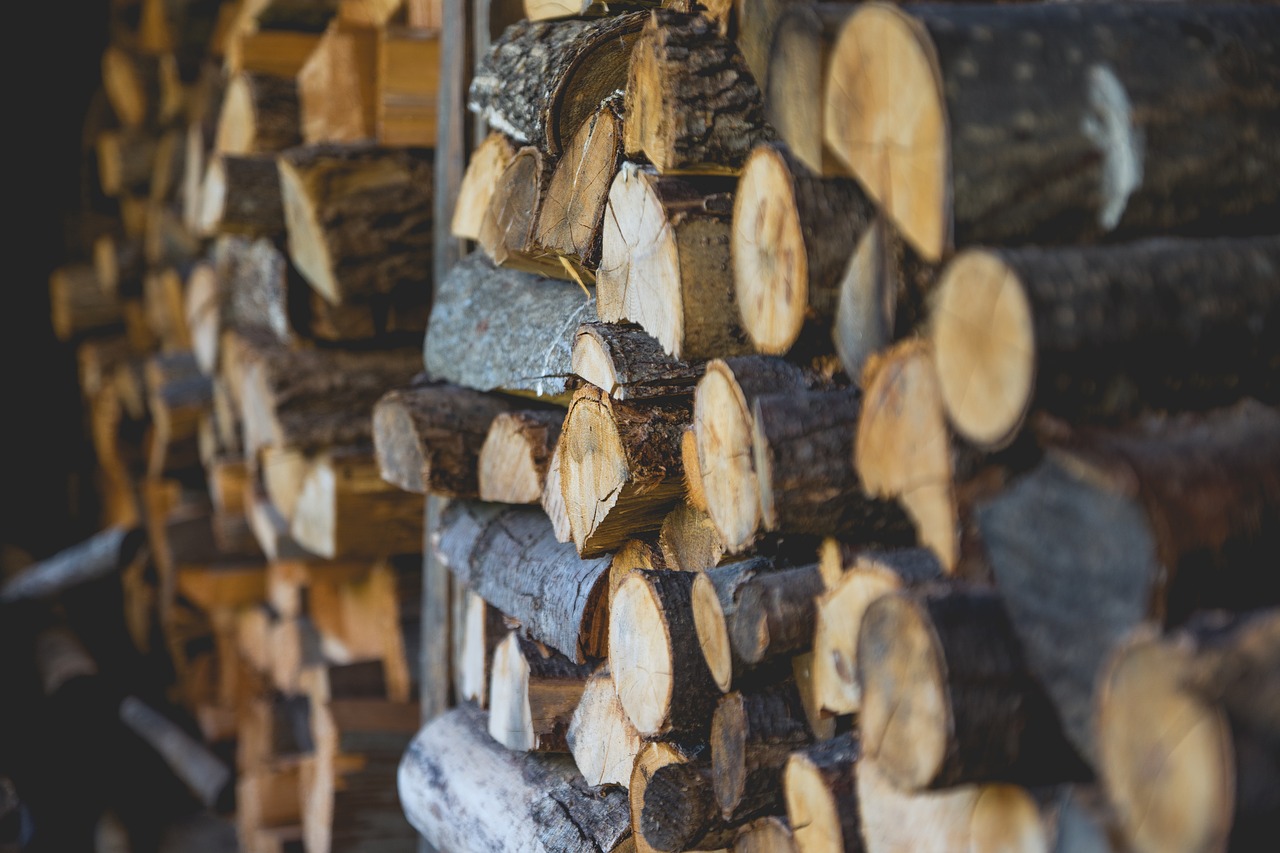 firewood logs outdoors free photo