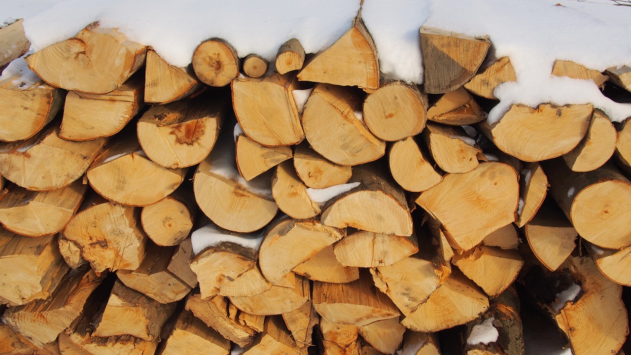 firewood winter snow free photo