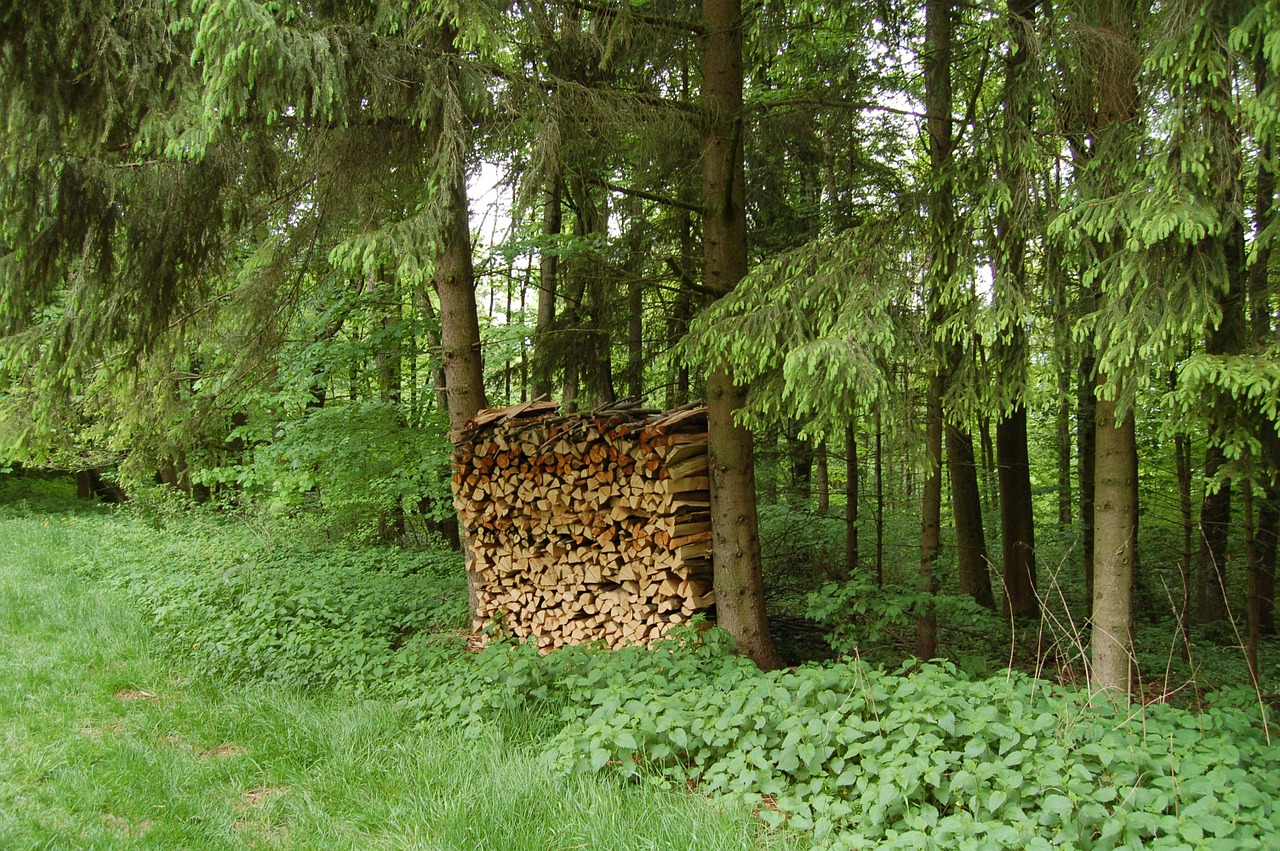 firewood holzstapel stack free photo