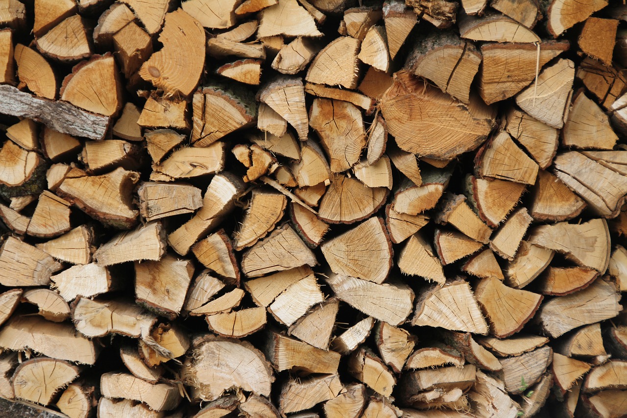 firewood fireplace wood for the fireplace free photo