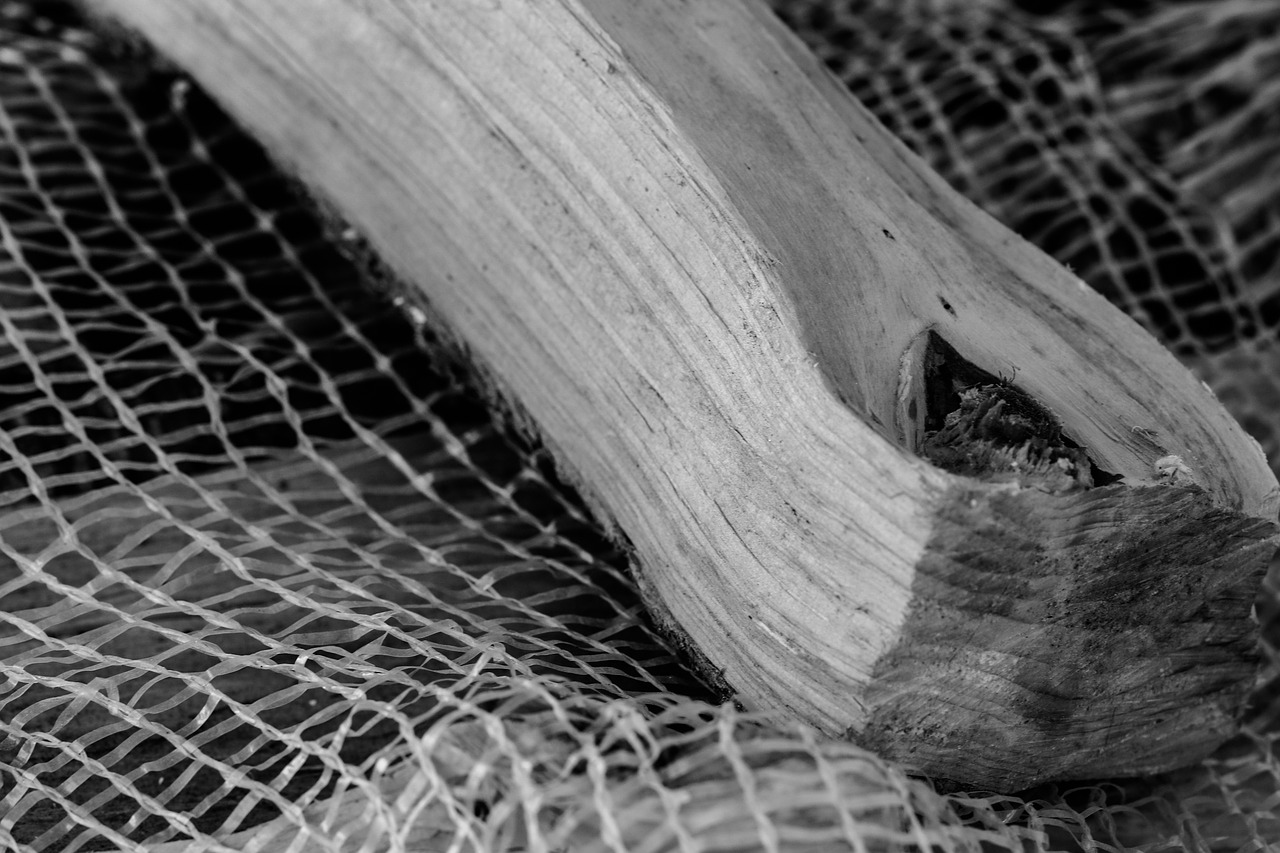 firewood black and white wood free photo