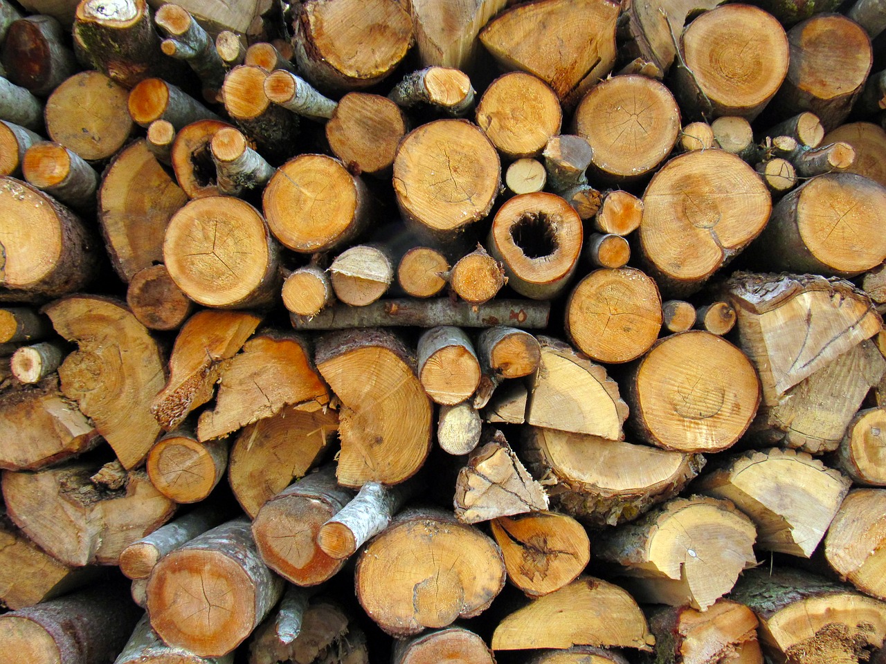 firewood pile wood free photo