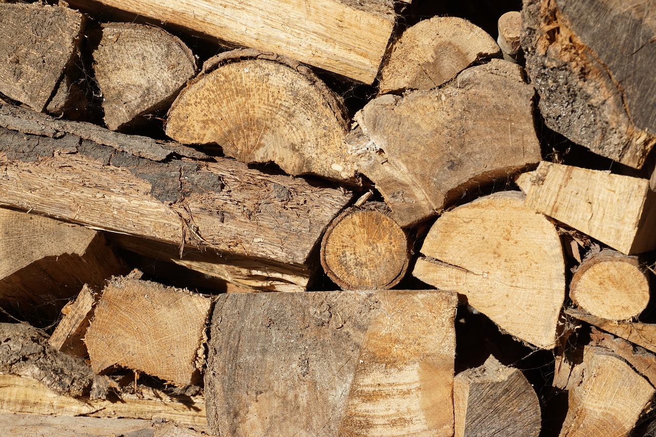 firewood wood stump free photo