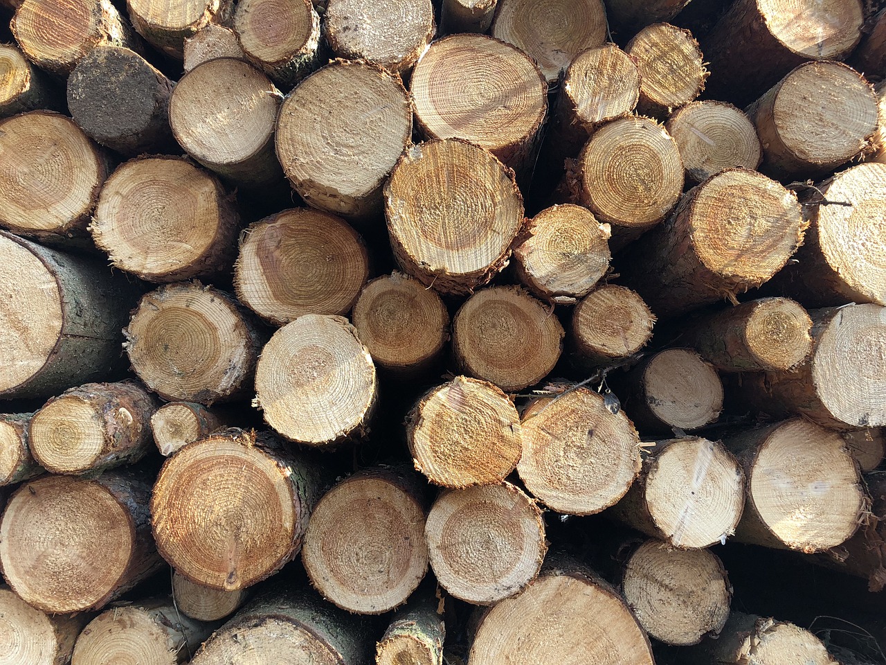 firewood woodpile pile free photo