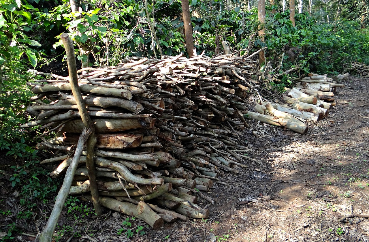 firewood fuel stack free photo