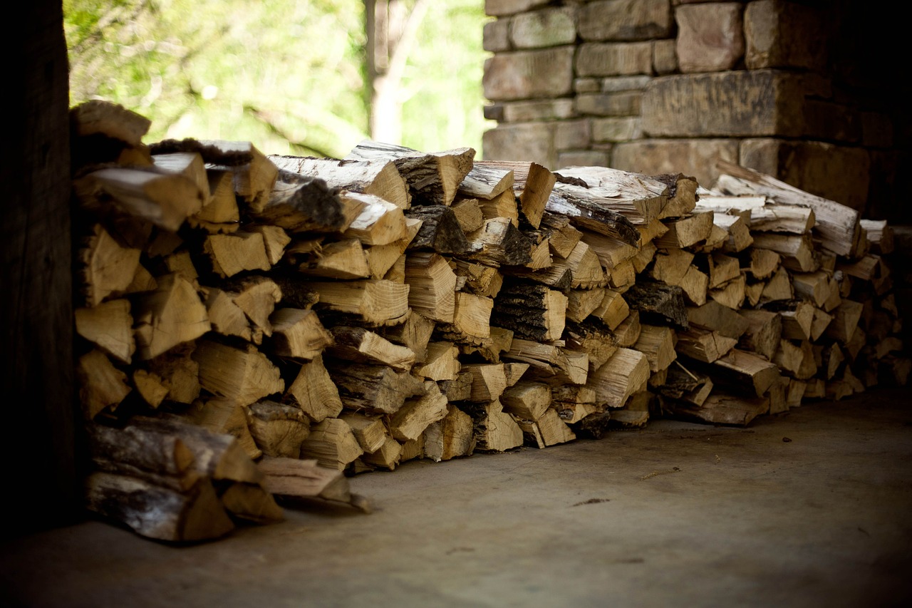 firewood logs wood free photo