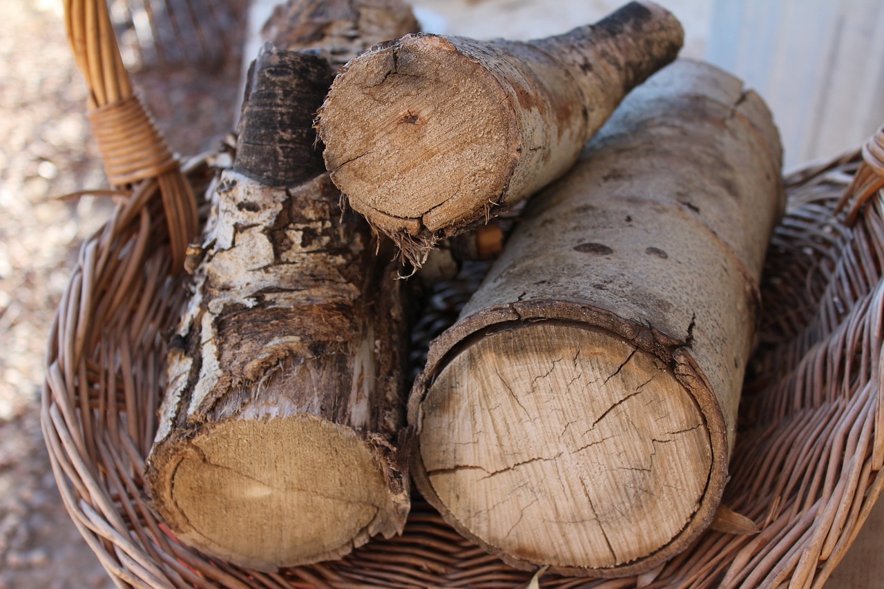 firewood logs pile free photo