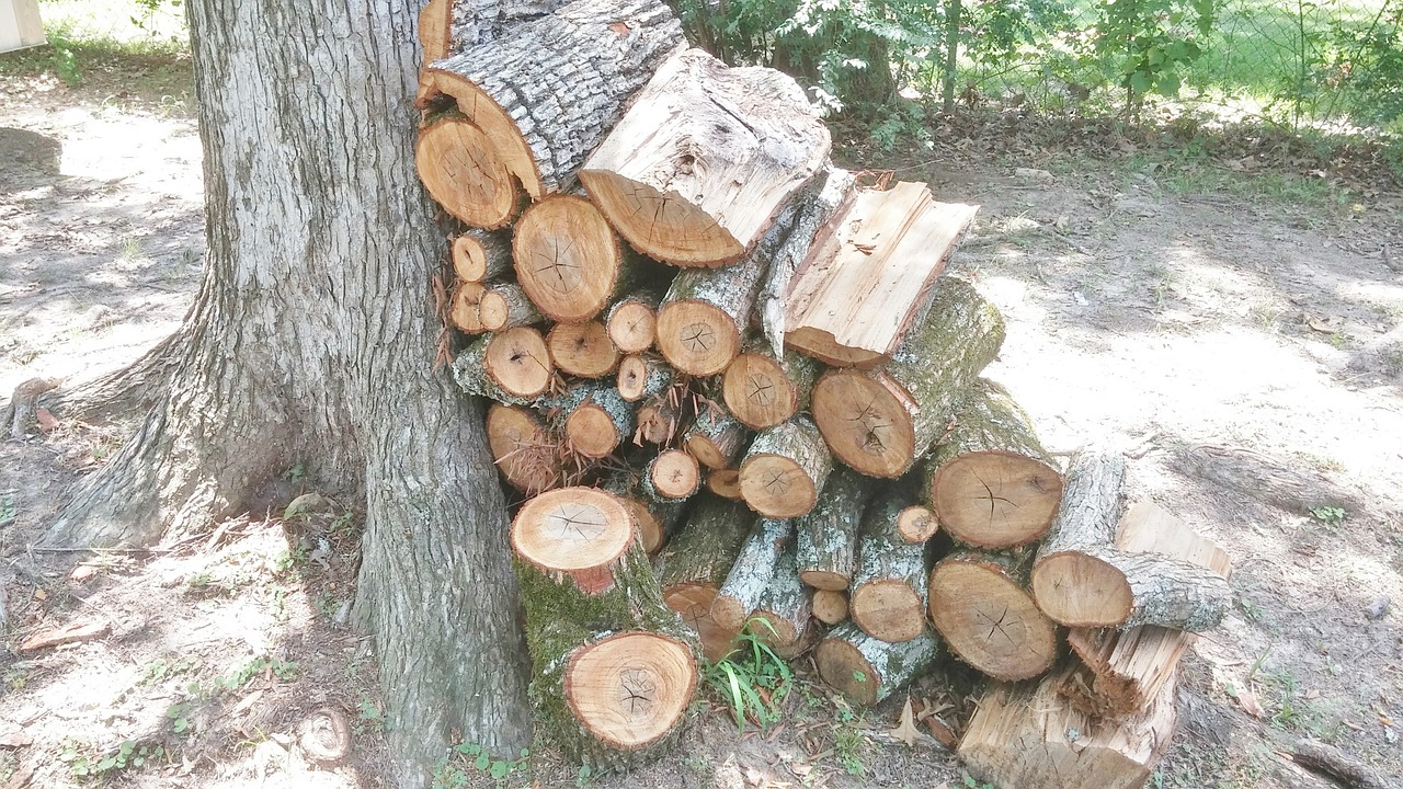 firewood wood wood pile free photo