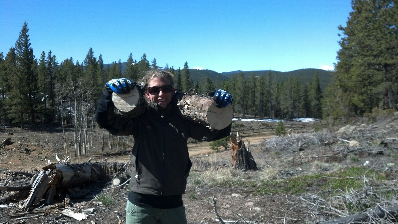 firewood woman outdoor free photo