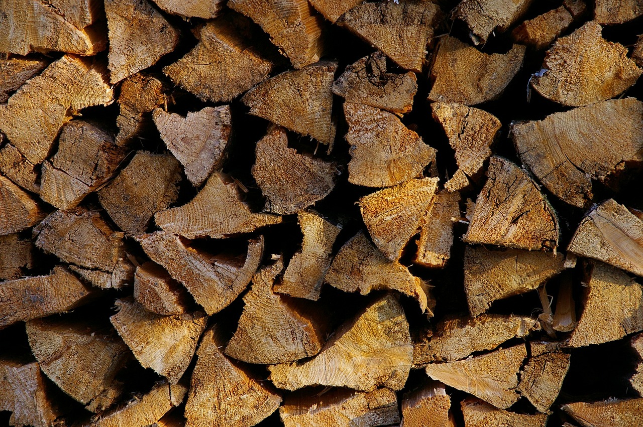 firewood wooden forest free photo
