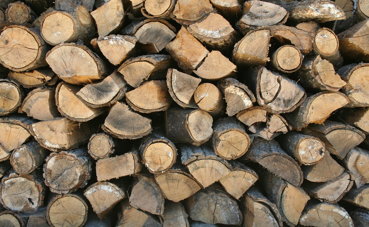 firewood stack wood free photo