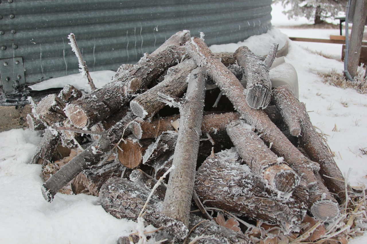 firewood frost woodpile free photo