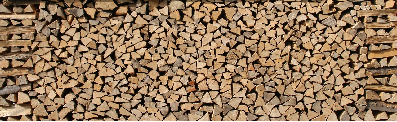 firewood wood growing stock free photo