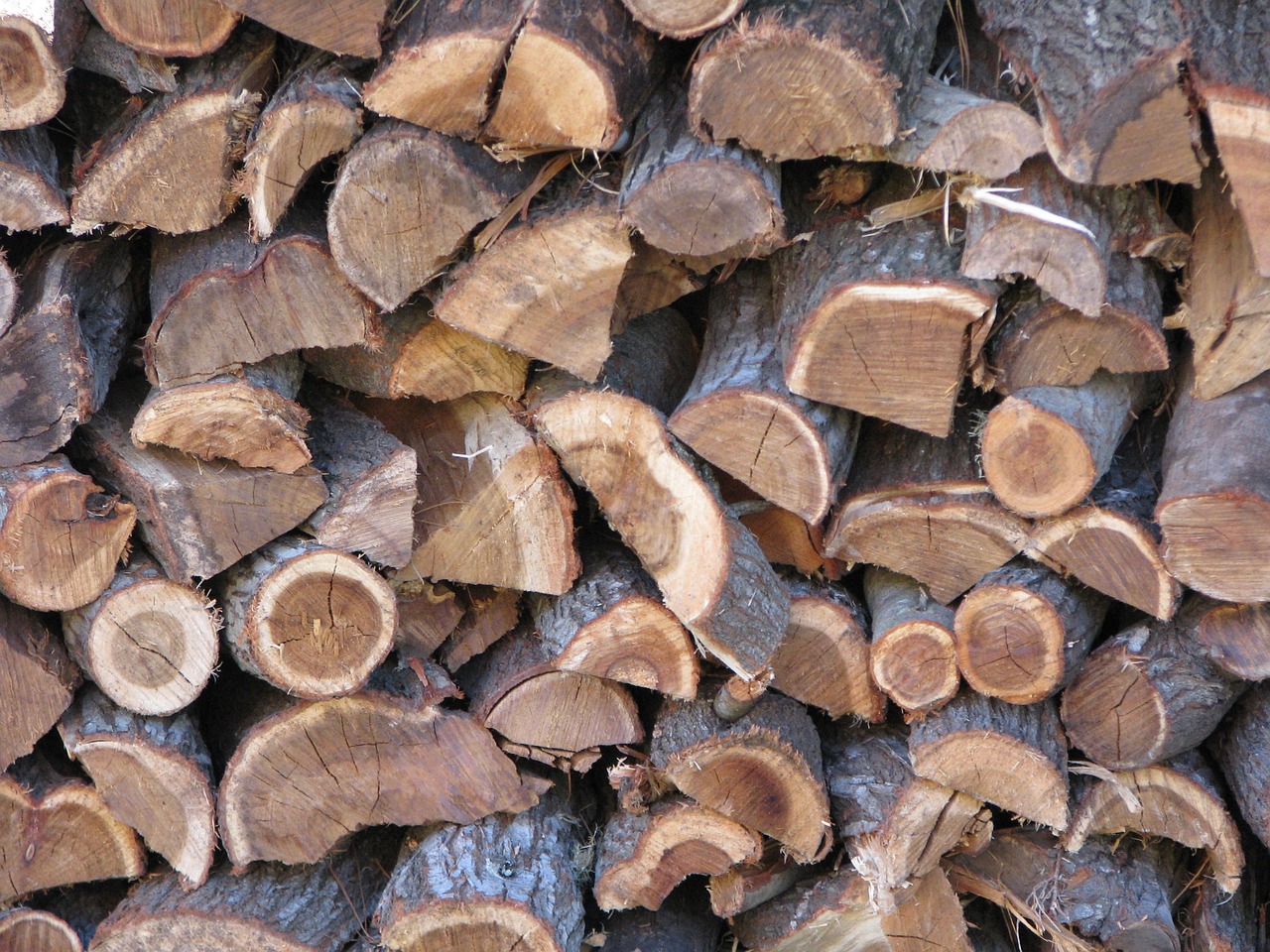 firewood wood timber free photo