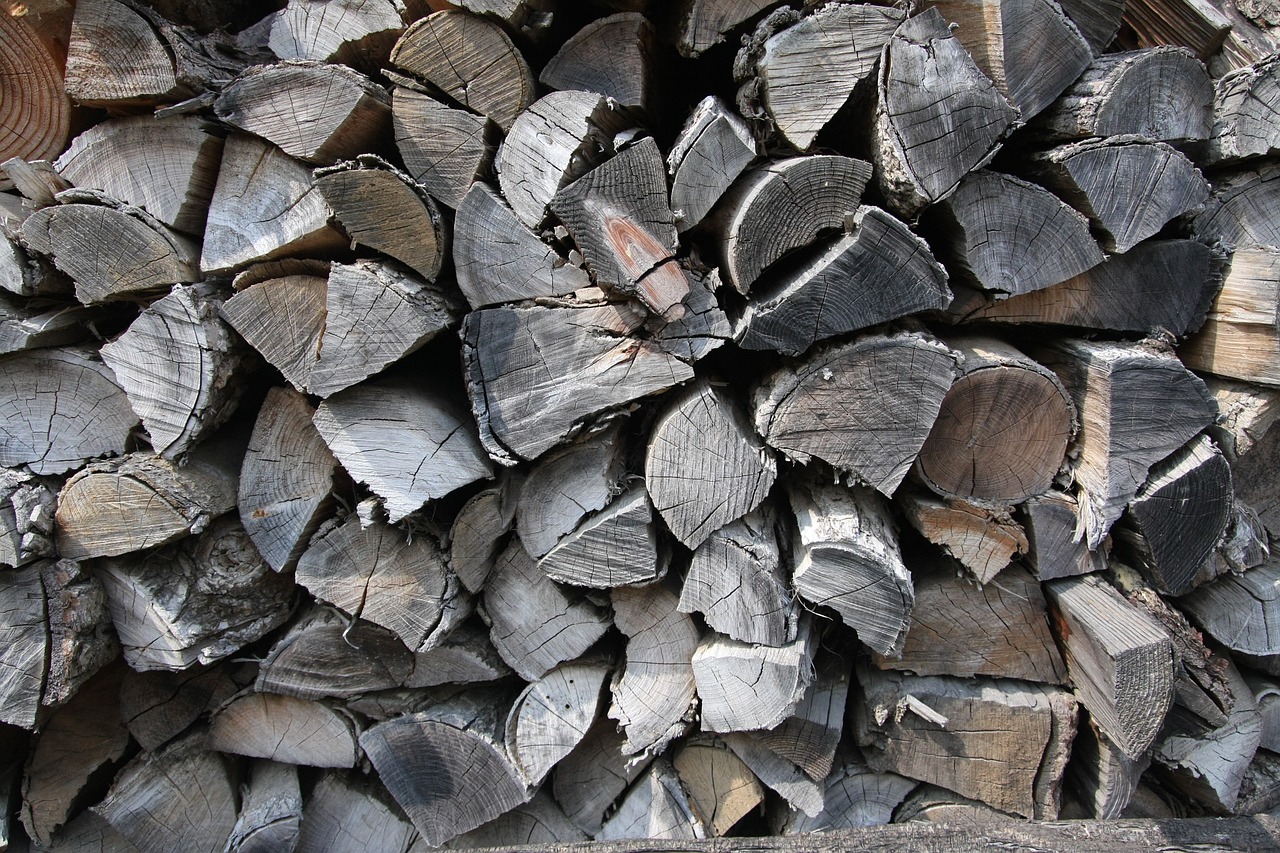 firewood background annual zone free photo