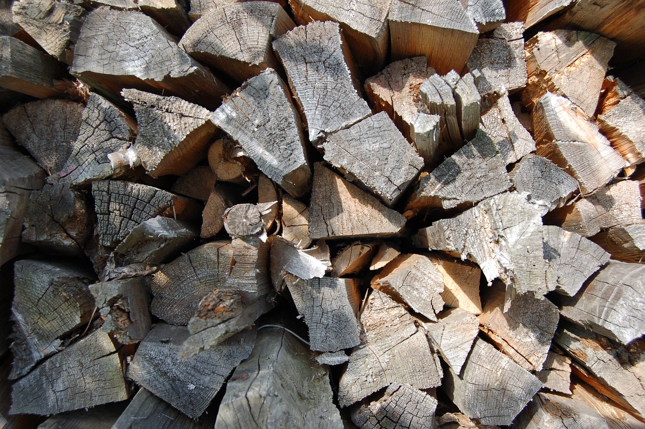 firewood pile tree free photo