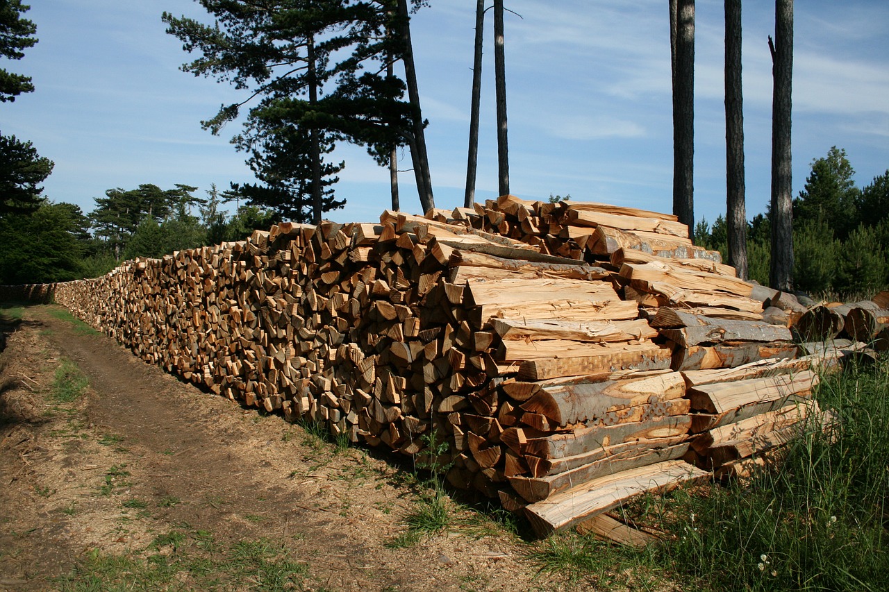 firewood beech firewood holzstapel free photo