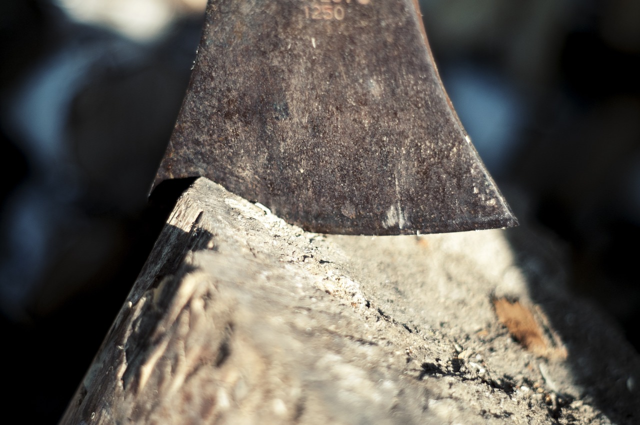 firewood axe cut free photo