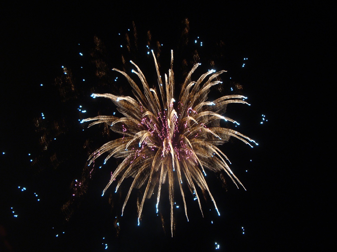 fireworks explosion shine free photo