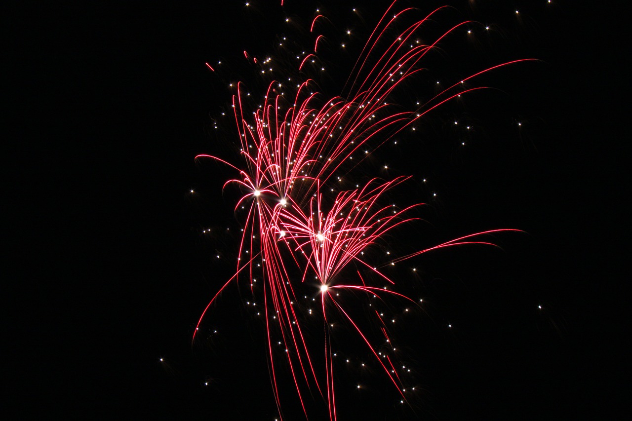 firework night festival free photo