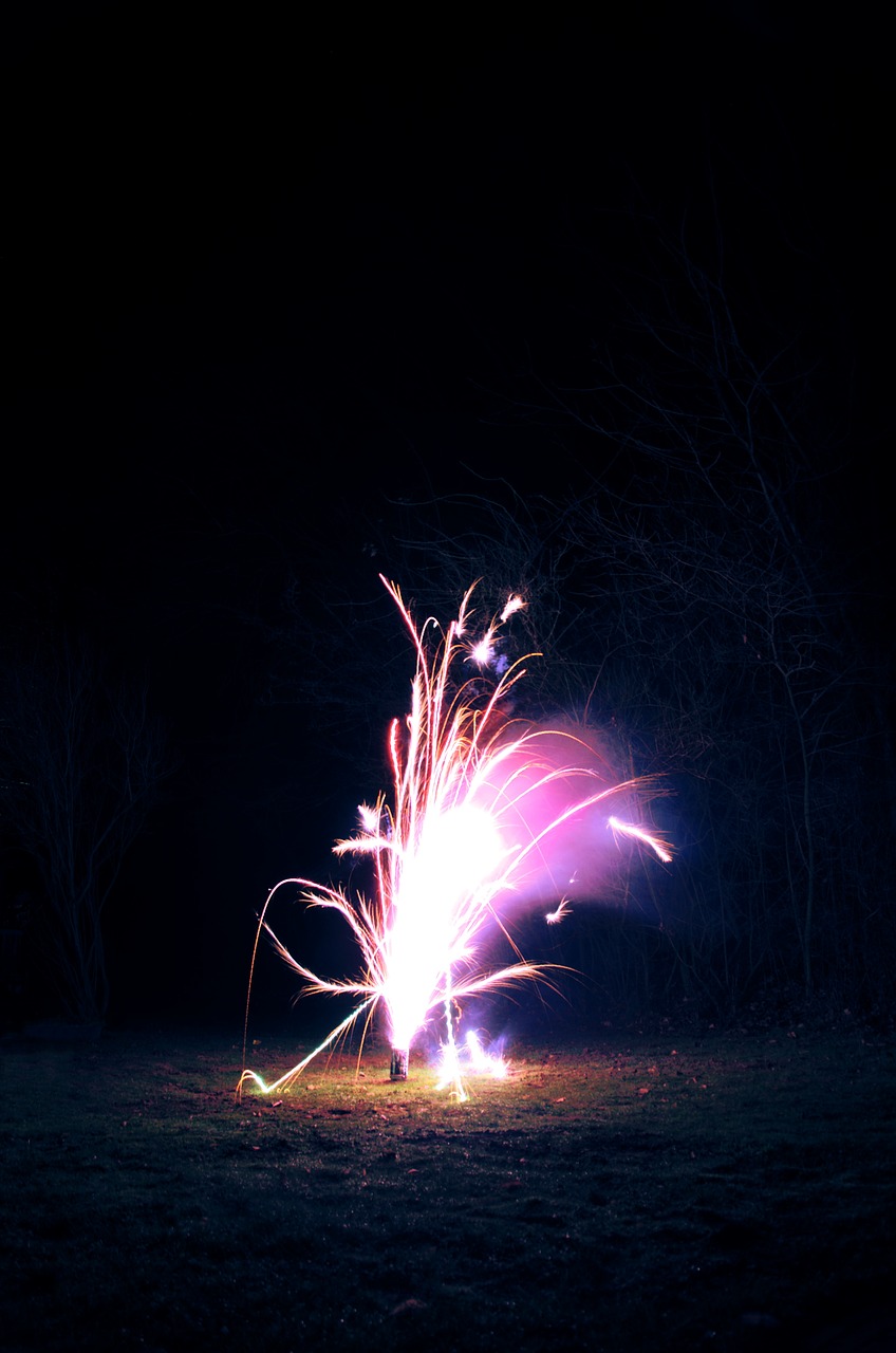 firework fountain explosion free photo