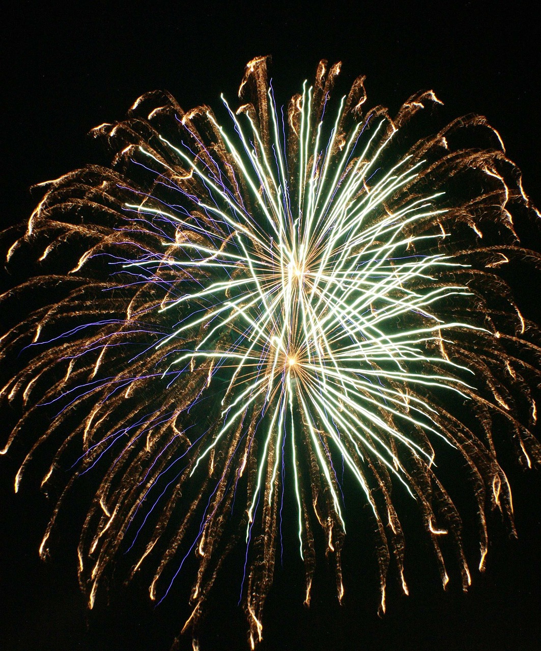 fireworks explode night free photo