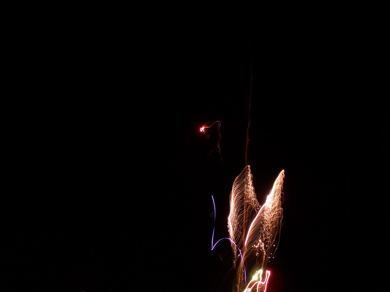 firework night light free photo