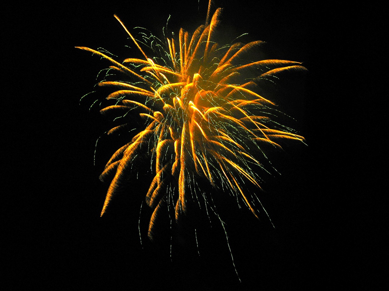 fireworks summer celebration free photo