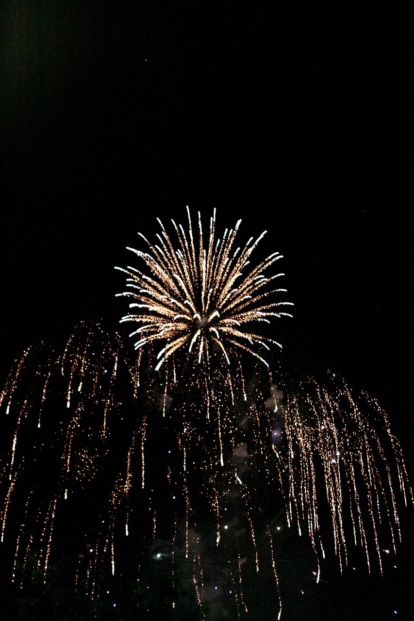 fireworks celebrate celebration free photo