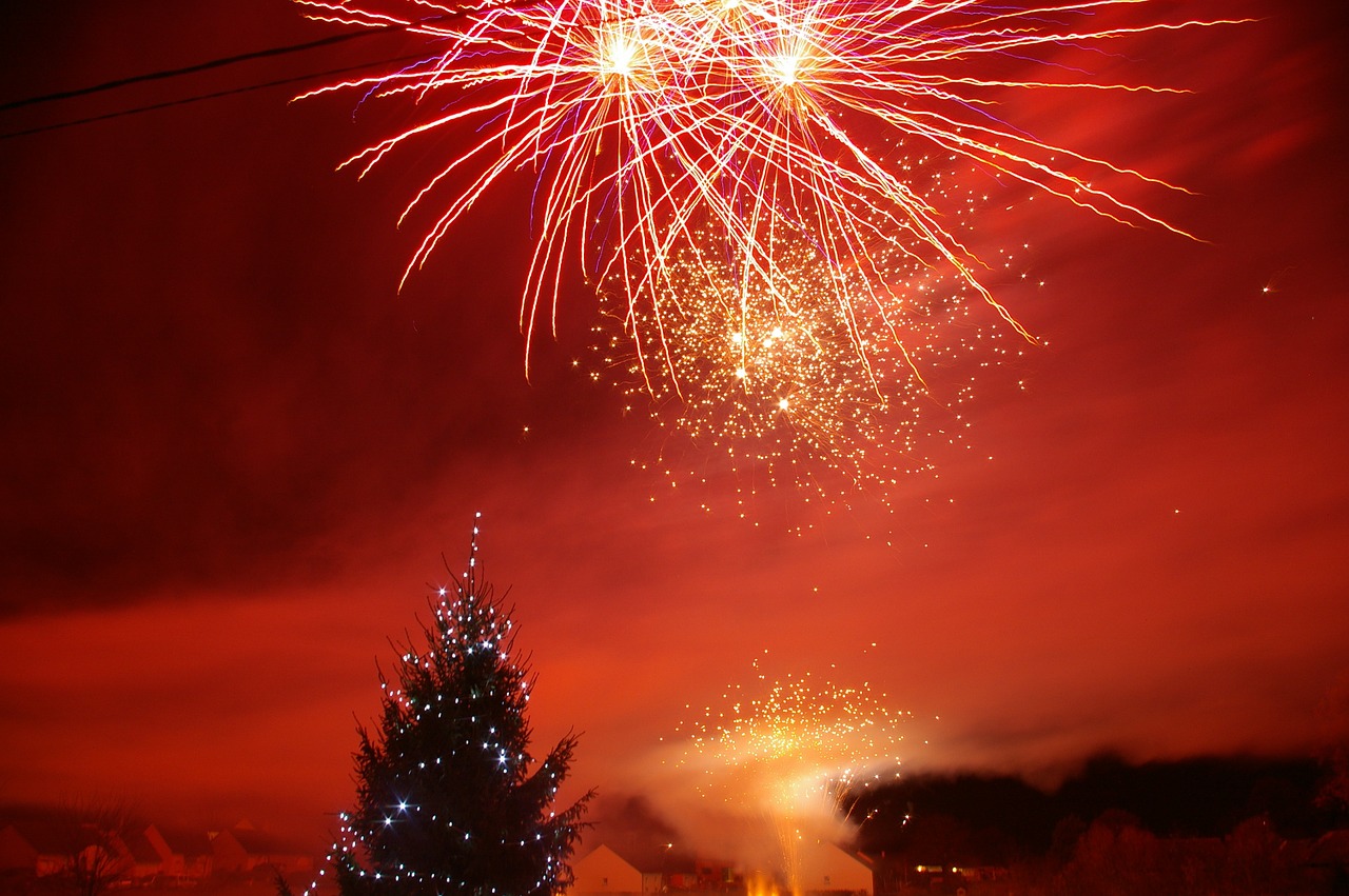 fireworks night fir free photo